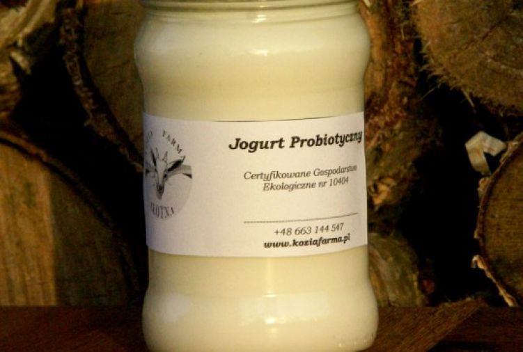 Jogurt probiotyczny z ekologicznego mleka koziego. Naturalny , czysty.